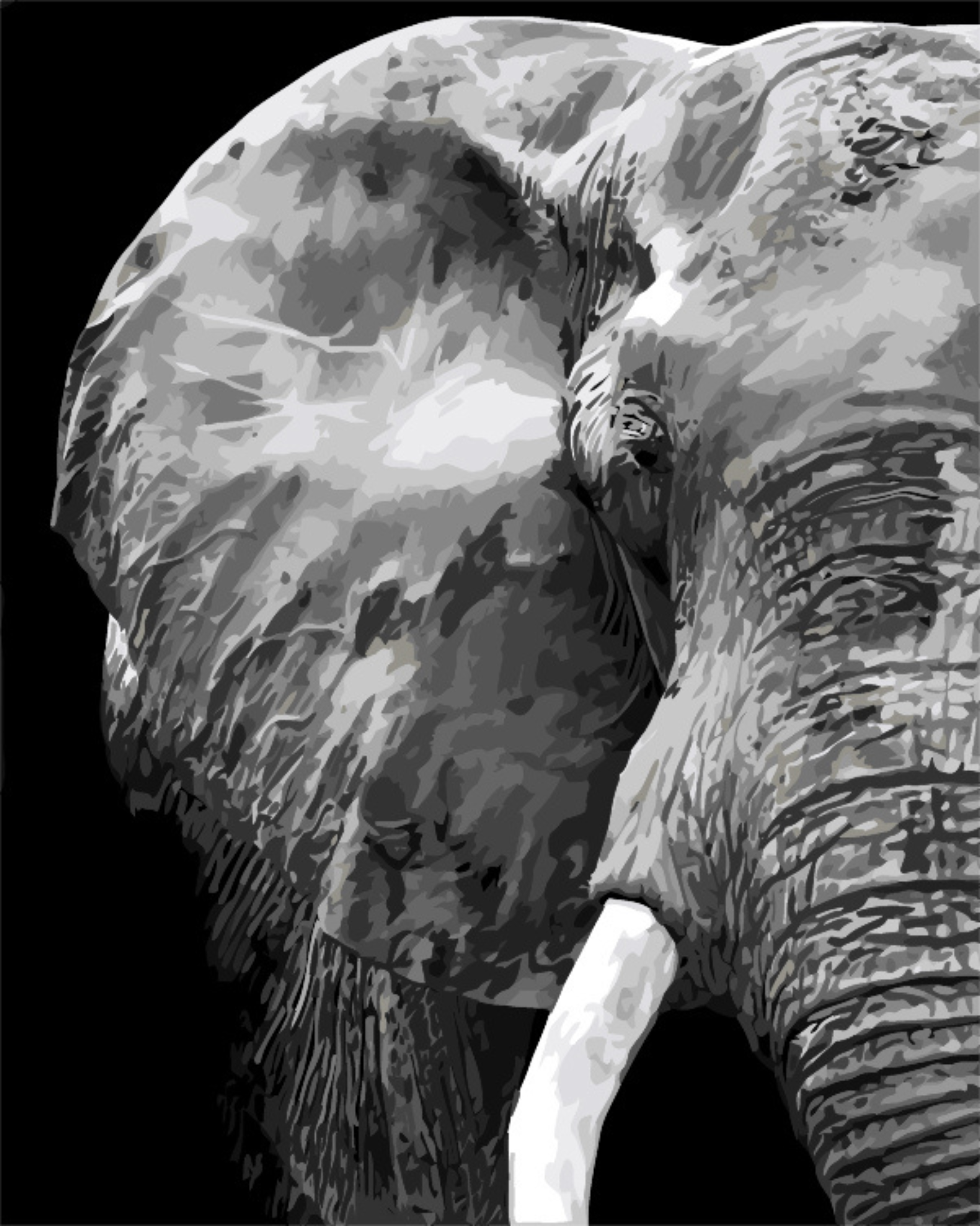 DIY Malen nach Zahlen Set - Elephant