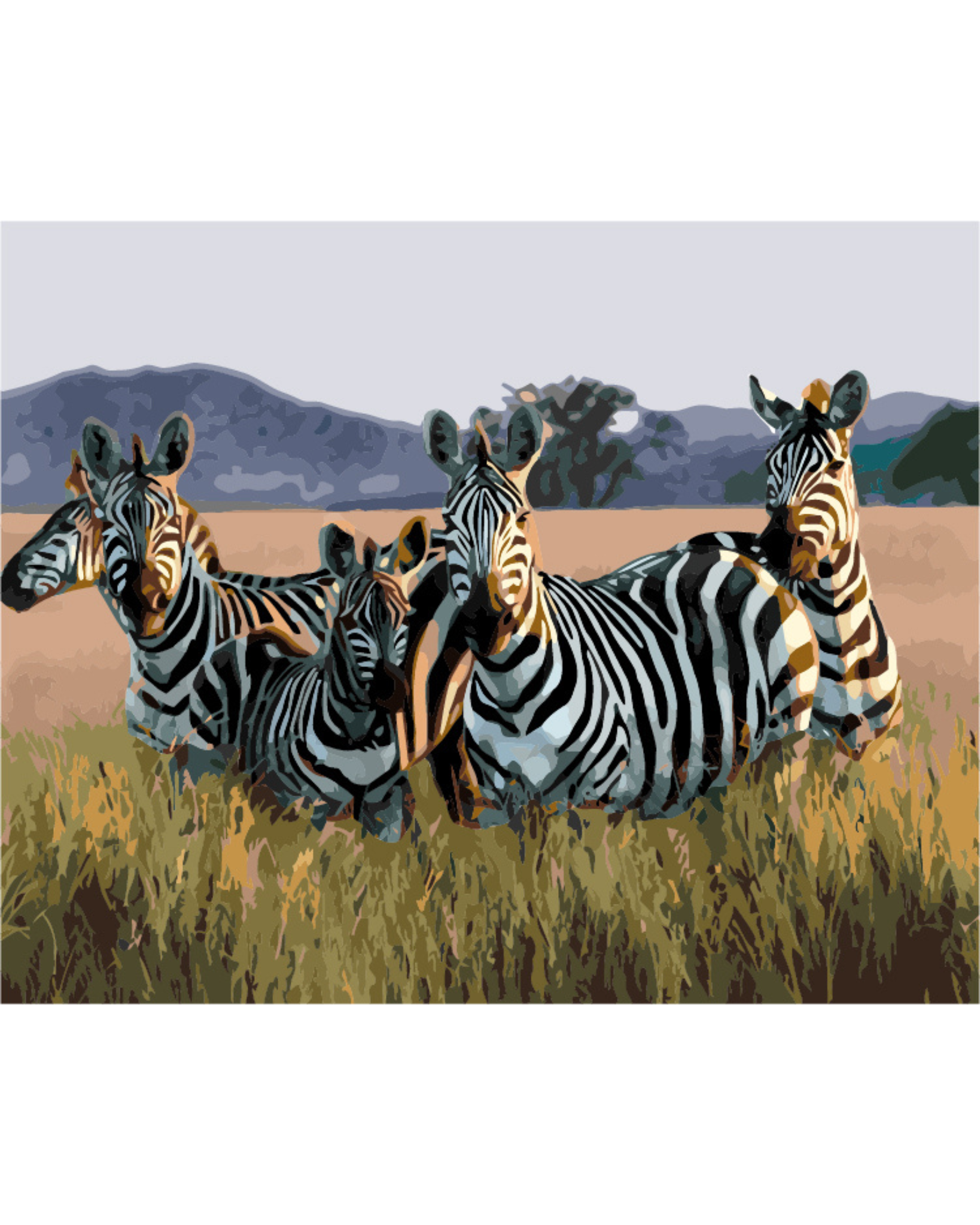 DIY Malen nach Zahlen Set - Zebras